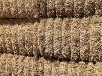 460mt Wheat Straw 8x4x3 Bales