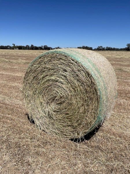 WANTED Cereal Hay Round Bales