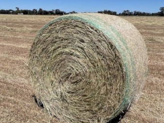 WANTED Cereal Hay Round Bales