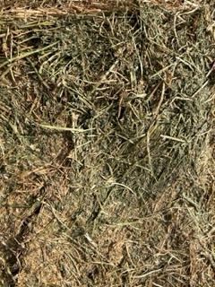 Lucerne Hay for sale in 8/4/3’s 700kgs bales have several feedtests