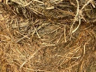 Lucerne Hay for sale in 8/4/3’s 700kgs bales have several feedtests