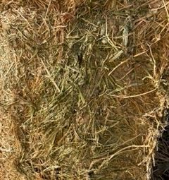 Lucerne Hay for sale in 8/4/3’s 700kgs bales have several feedtests