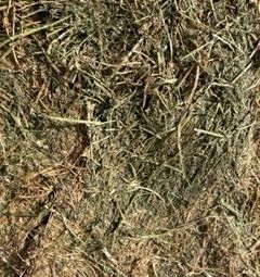 Lucerne Hay for sale in 8/4/3’s 700kgs bales have several feedtests