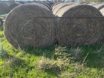 Oats And Pasture Hay 