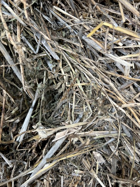 75mt Vetch Hay 8x4x3 Bales