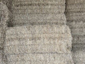 75mt Vetch Hay 8x4x3 Bales