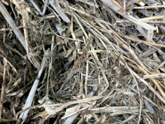 75mt Vetch Hay 8x4x3 Bales