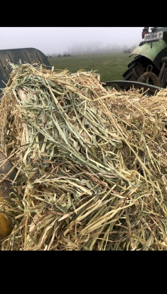 Oaten Hay 5x4 Round Bales