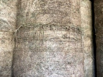Oaten Hay 5x4 Round Bales