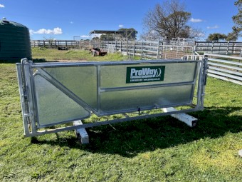 Proway 3 Way Drafting Race