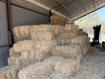 wheaten small square bales