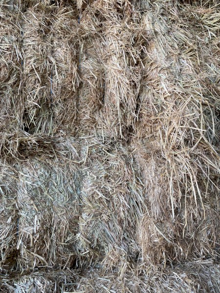 Oaten Hay 550kg 8x4x3 Bales | Farm Tender