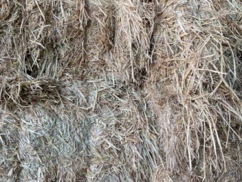 Oaten Hay 550kg 8x4x3 Bales