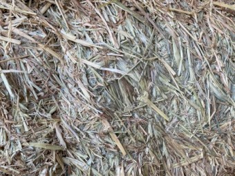 Oaten Hay 550kg 8x4x3 Bales