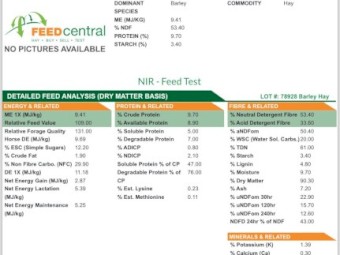 235mt Barley Hay 610kg 8x4x3 Bales