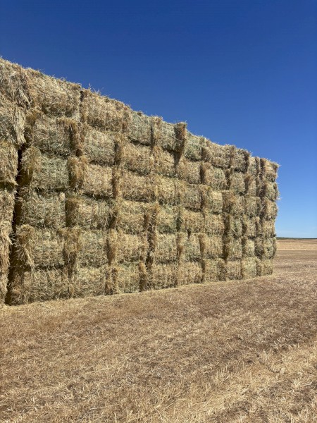 250-300mt Barley Hay 8x4x3 Bales