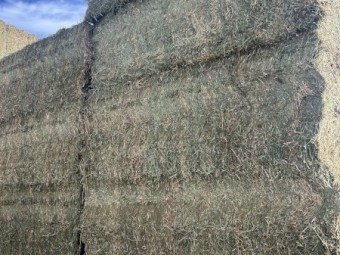 Lucerne hay 8x4x3