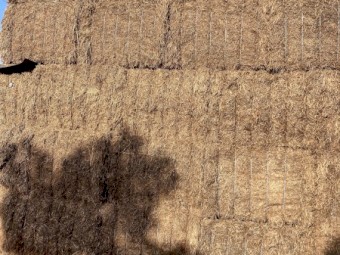 200mt Vetch Hay 8x4x3 Bales