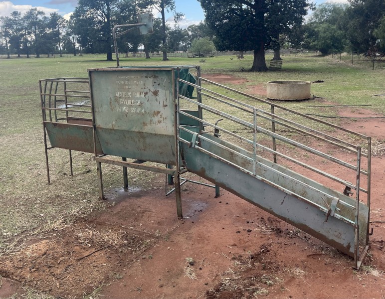 Harrington Sheep Handler with Wide Grind and Variable Power Pack