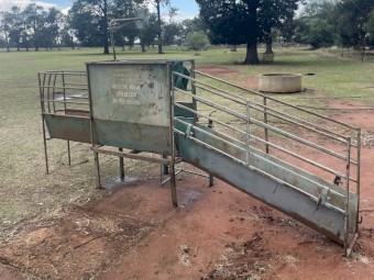 Harrington Sheep Handler with Wide Grind and Variable Power Pack