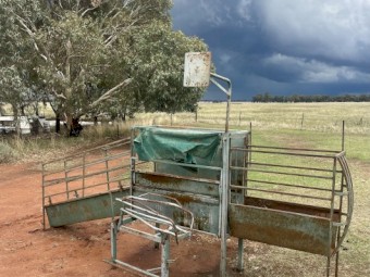 Harrington Sheep Handler with Wide Grind and Variable Power Pack