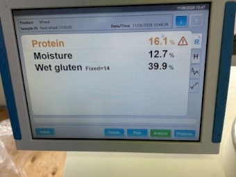 Feed wheat 