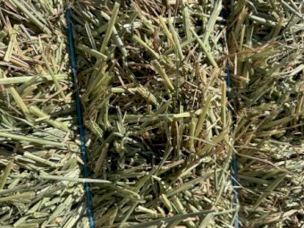 750mt Wheaten Hay 580-600kg 8x4x3 Bales