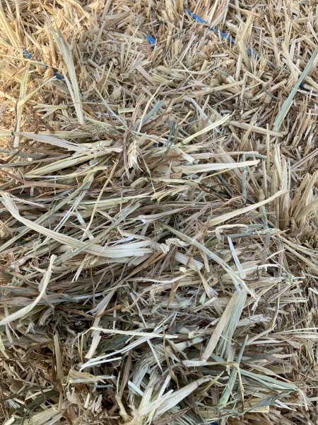 140mt Wheaten Hay with Balansa Clover 650-700kg 8x4x3 Bales