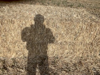 140mt Wheaten Hay with Balansa Clover 650-700kg 8x4x3 Bales