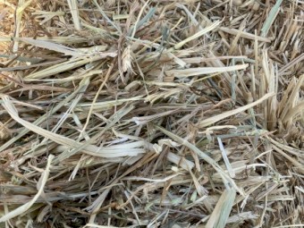 140mt Wheaten Hay with Balansa Clover 650-700kg 8x4x3 Bales