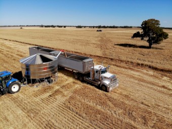 Terricks Engineering 62T Field Bin