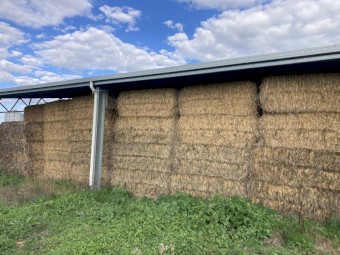 Wheaten/ Ryegrass Hay