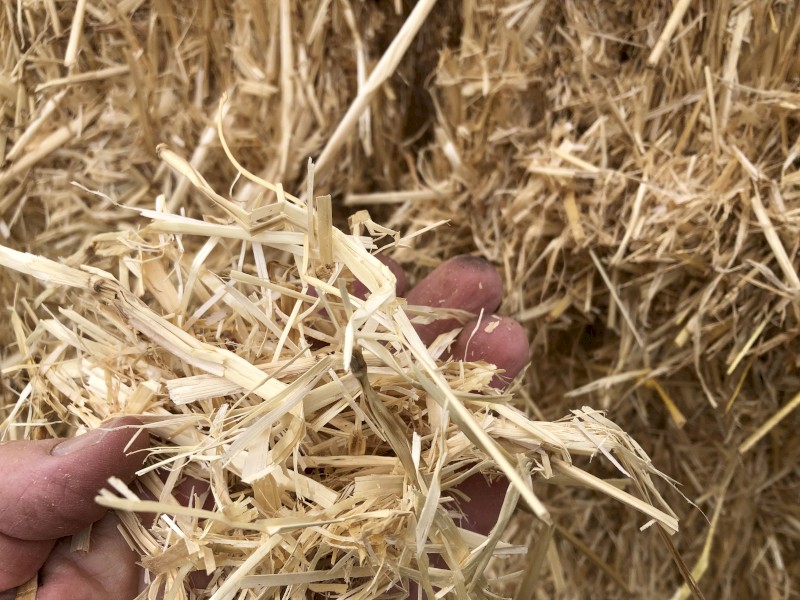 Barley Straw   8x4x3 Bales.  Approx bale weight 380-400kg