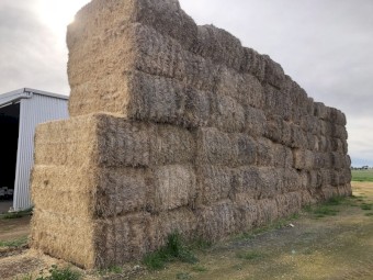 Barley Straw   8x4x3 Bales.  Approx bale weight 380-400kg