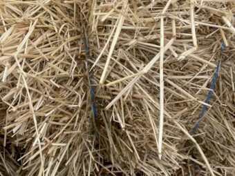 1500 x Rye Grass and Clover Hay Small Bales