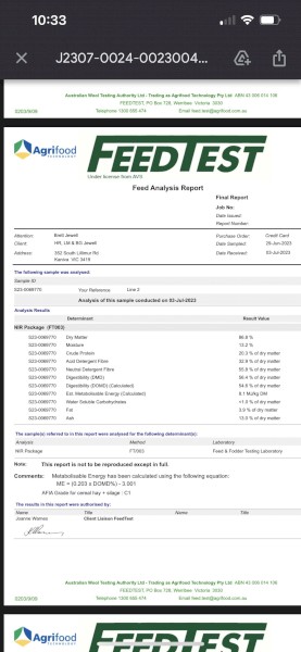 44mt Vetch Clover Barley Mix Hay 550kg 8x4x3 Bales