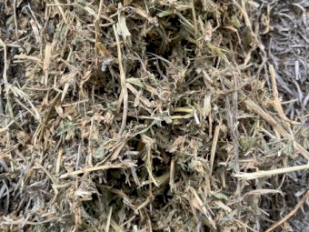 44mt Vetch Clover Barley Mix Hay 550kg 8x4x3 Bales