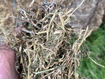 44mt Vetch Clover Barley Mix Hay 550kg 8x4x3 Bales