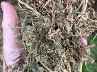 44mt Vetch Clover Barley Mix Hay 550kg 8x4x3 Bales