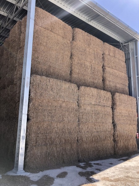Vetch/Medic Hay 580kg 8x4x3 Bales