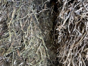 Vetch/Medic Hay 580kg 8x4x3 Bales