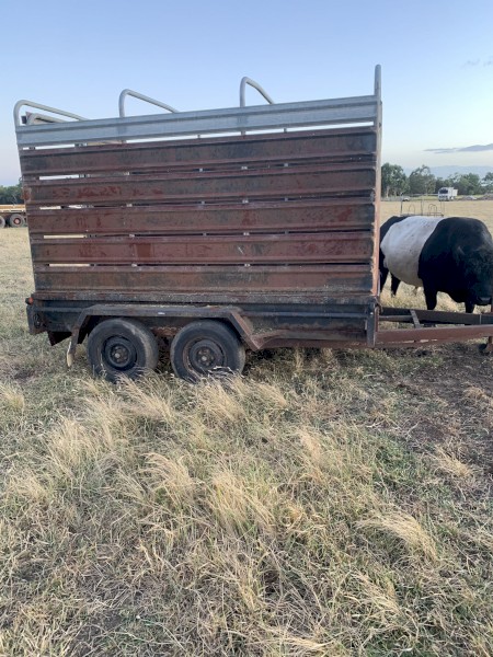 10 x 6 Trailer and Stock Crate