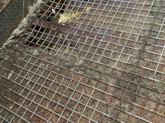 10 x 6 Trailer and Stock Crate