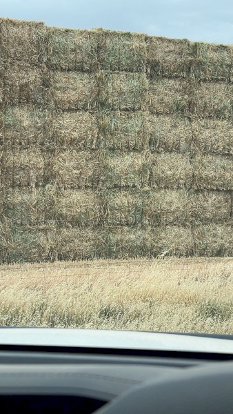 Barley Hay 680-720kg 8x4x3 Bales