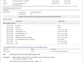 Clover/Rye Grass Hay 8x4x3 245 Tonne Available