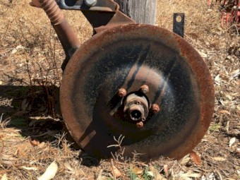 RFM double disc openers