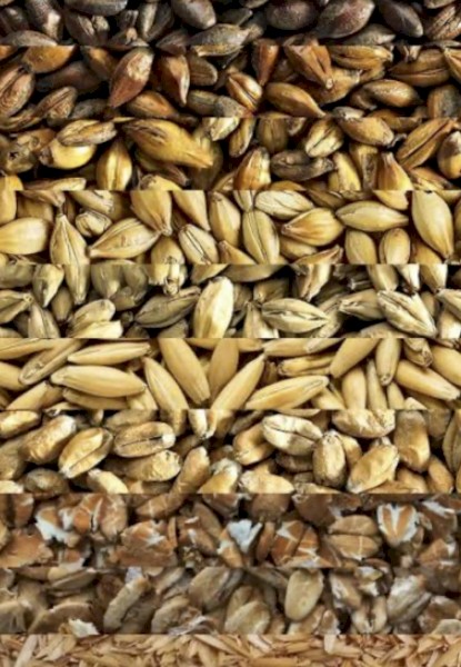 WANTED Grain Seconds