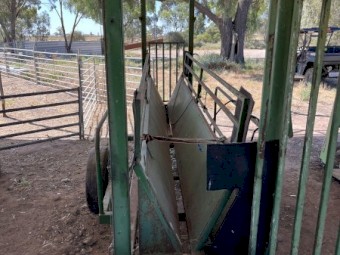 Down Under Sheep/Goat Handler