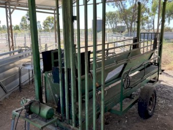 Down Under Sheep/Goat Handler