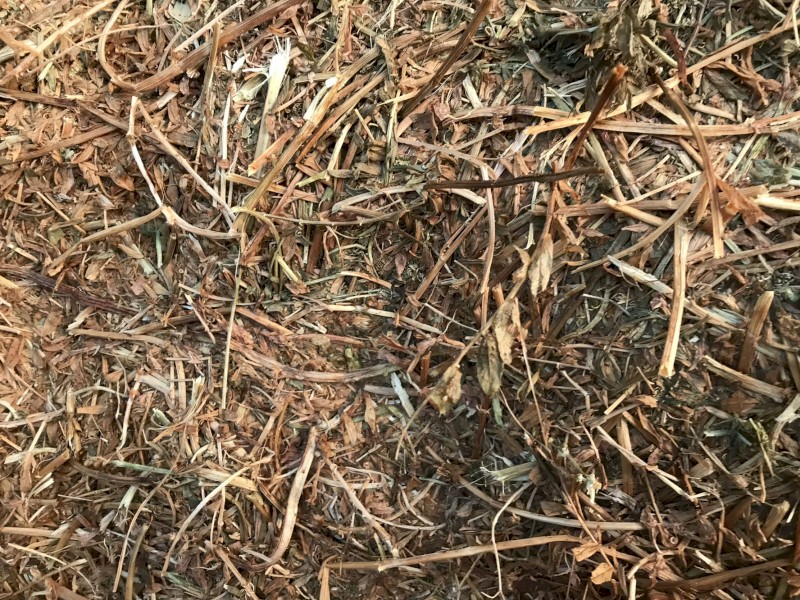 Vetch Hay 610kg 8x4x3 Bales